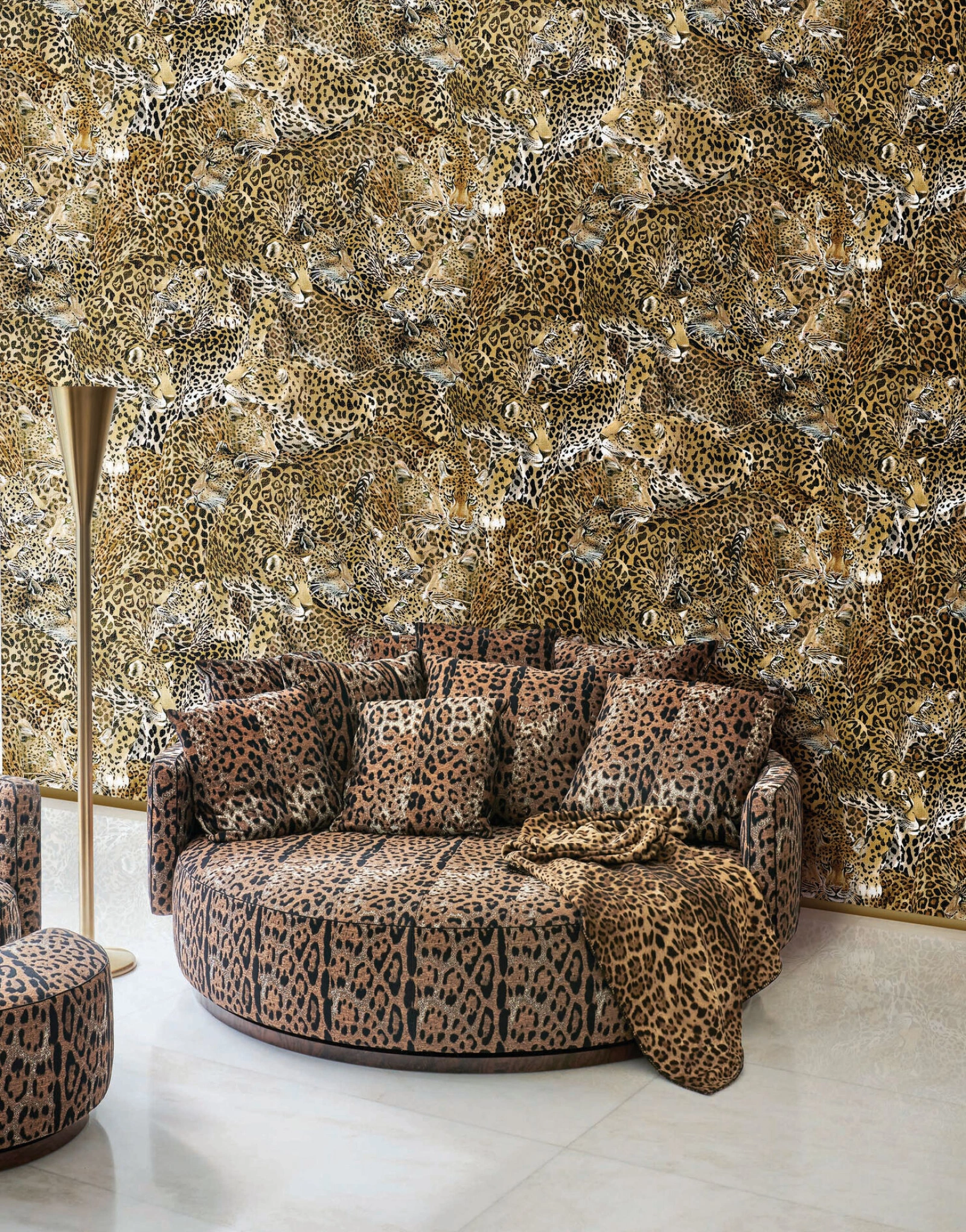 Dolce & Gabbana Casa TCW007TCAHOUL022